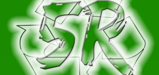 5 R día mundial del reciclado