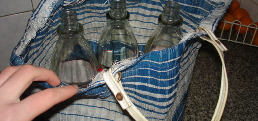 evitemos las bolsas de plástico