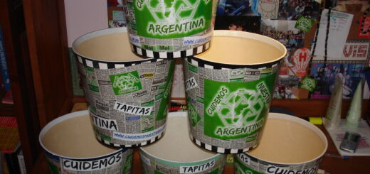 baldes multiuso reciclados