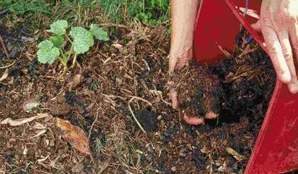 cómo hacer compost abono casero