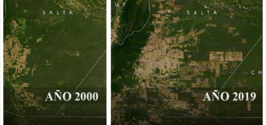 la nasa muestra desmontes en salta