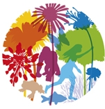 dia mundial del medio ambiente