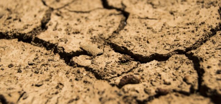 Día Mundial de Lucha contra la Desertificación y la Sequía