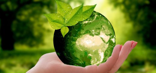 dia mundial del medio ambiente