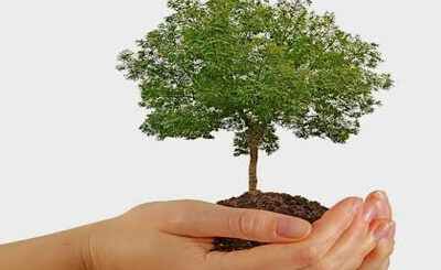 día nacional del árbol