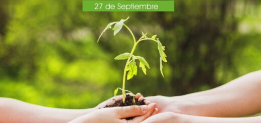 día nacional de la conciencia ambiental