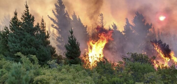 incendios en la patagonia argentina