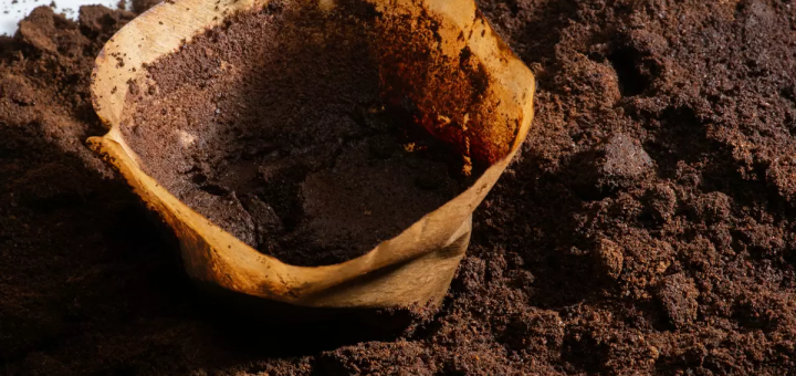 cómo reciclar la borra de café